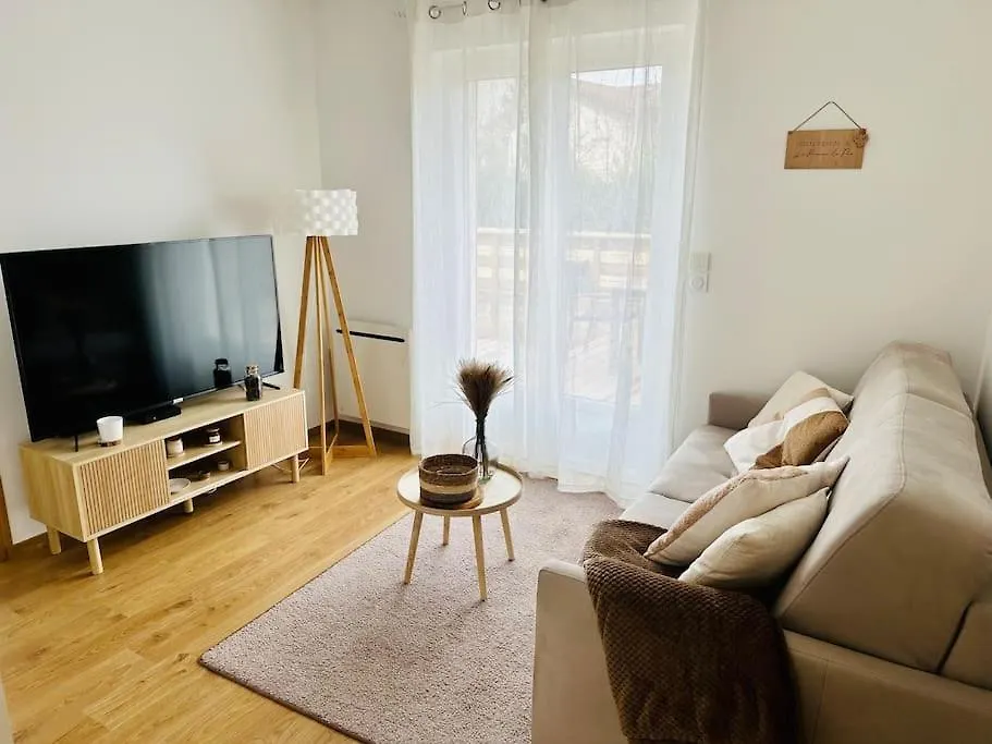 La Pomme De Pin Apartment Scionzier 0*,