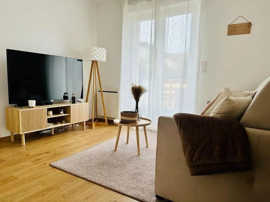 La Pomme De Pin Apartment Scionzier France