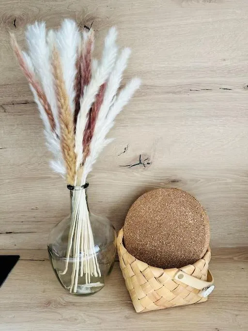 Scionzier La Pomme De Pin 아파트