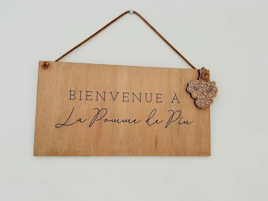 La Pomme De Pin Apartment Scionzier