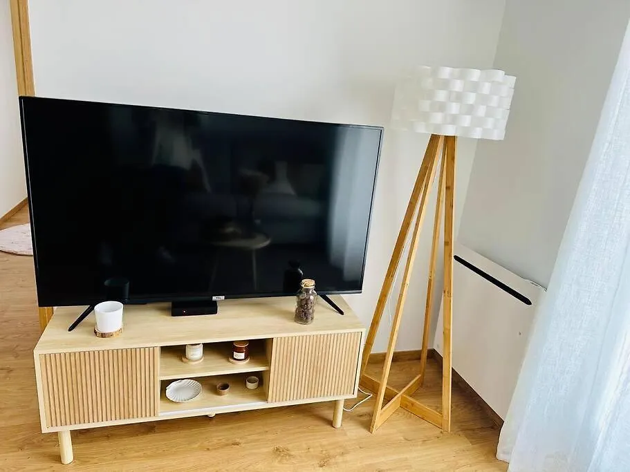 La Pomme De Pin Apartment Scionzier