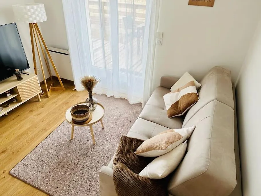 La Pomme De Pin Apartment Scionzier