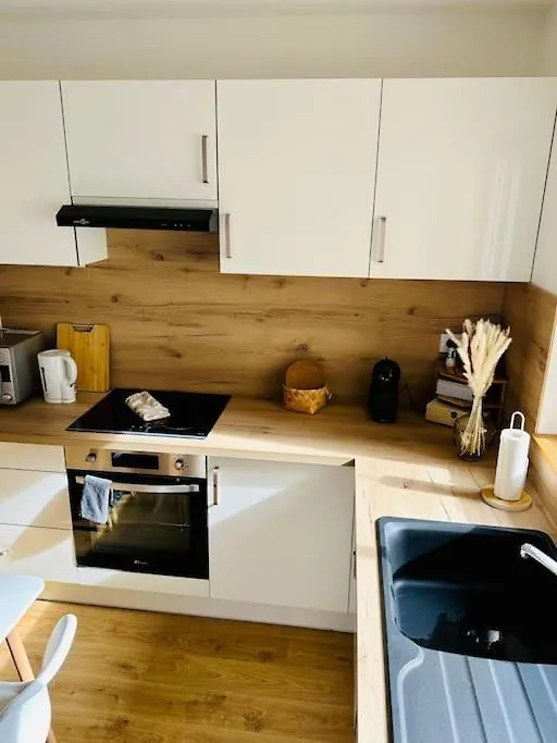 La Pomme De Pin Apartment Scionzier France