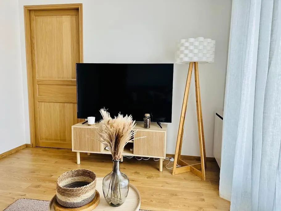 La Pomme De Pin Apartment Scionzier