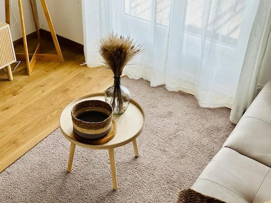 La Pomme De Pin Apartment Scionzier