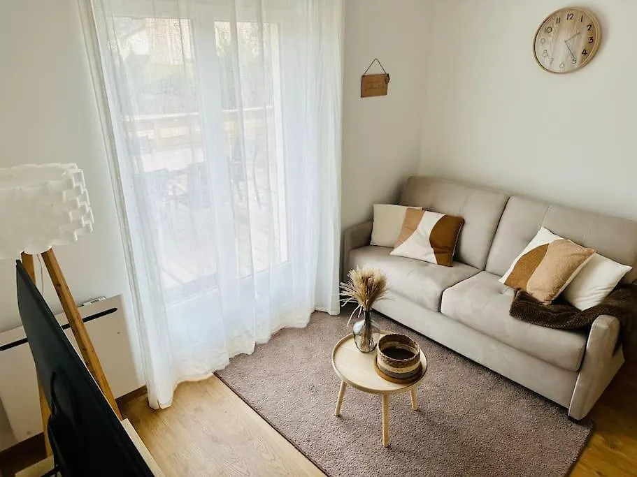 La Pomme De Pin Apartment Scionzier